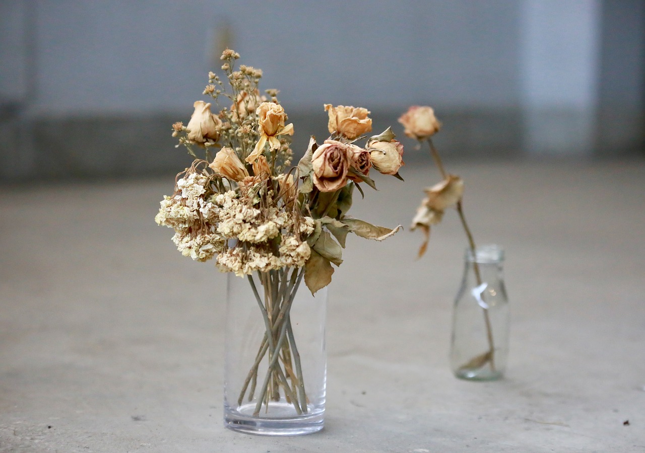 vase dry flower glass bottles free photo