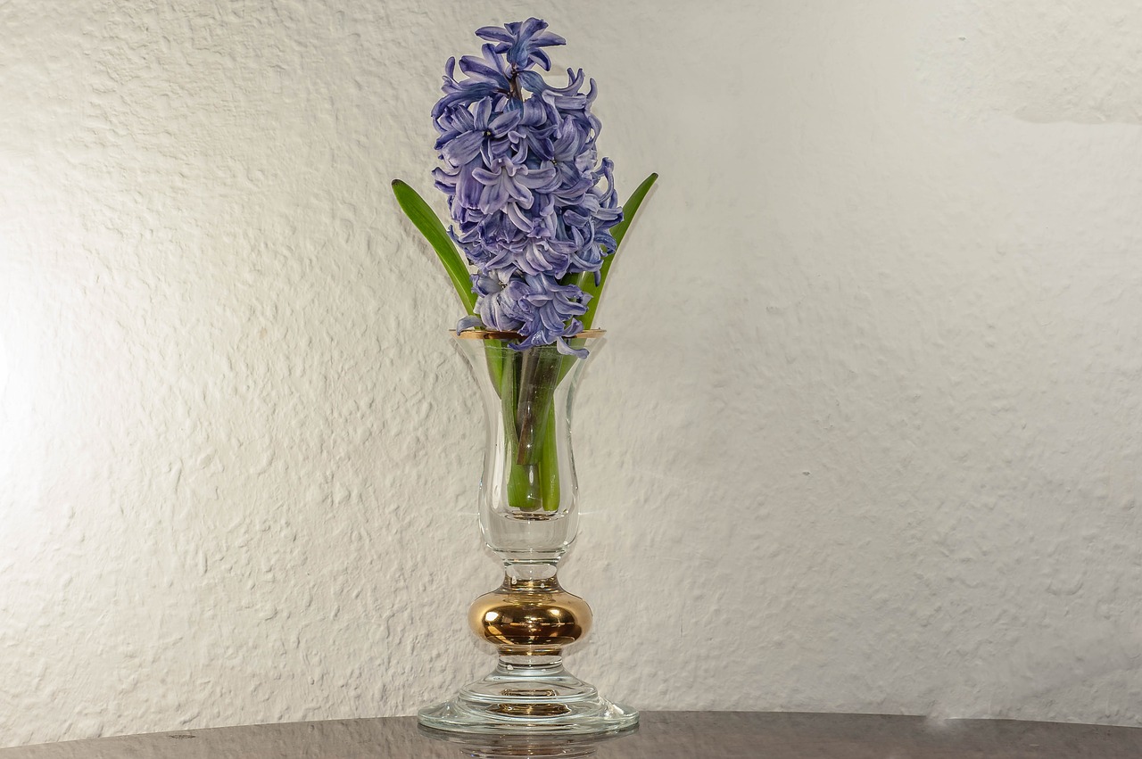 vase flower still life free photo