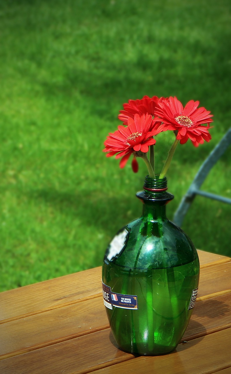 vase wine bottle alternative free photo