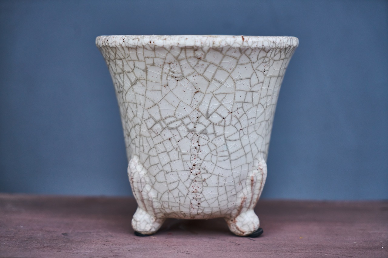 vase  ceramic  flowerpot free photo