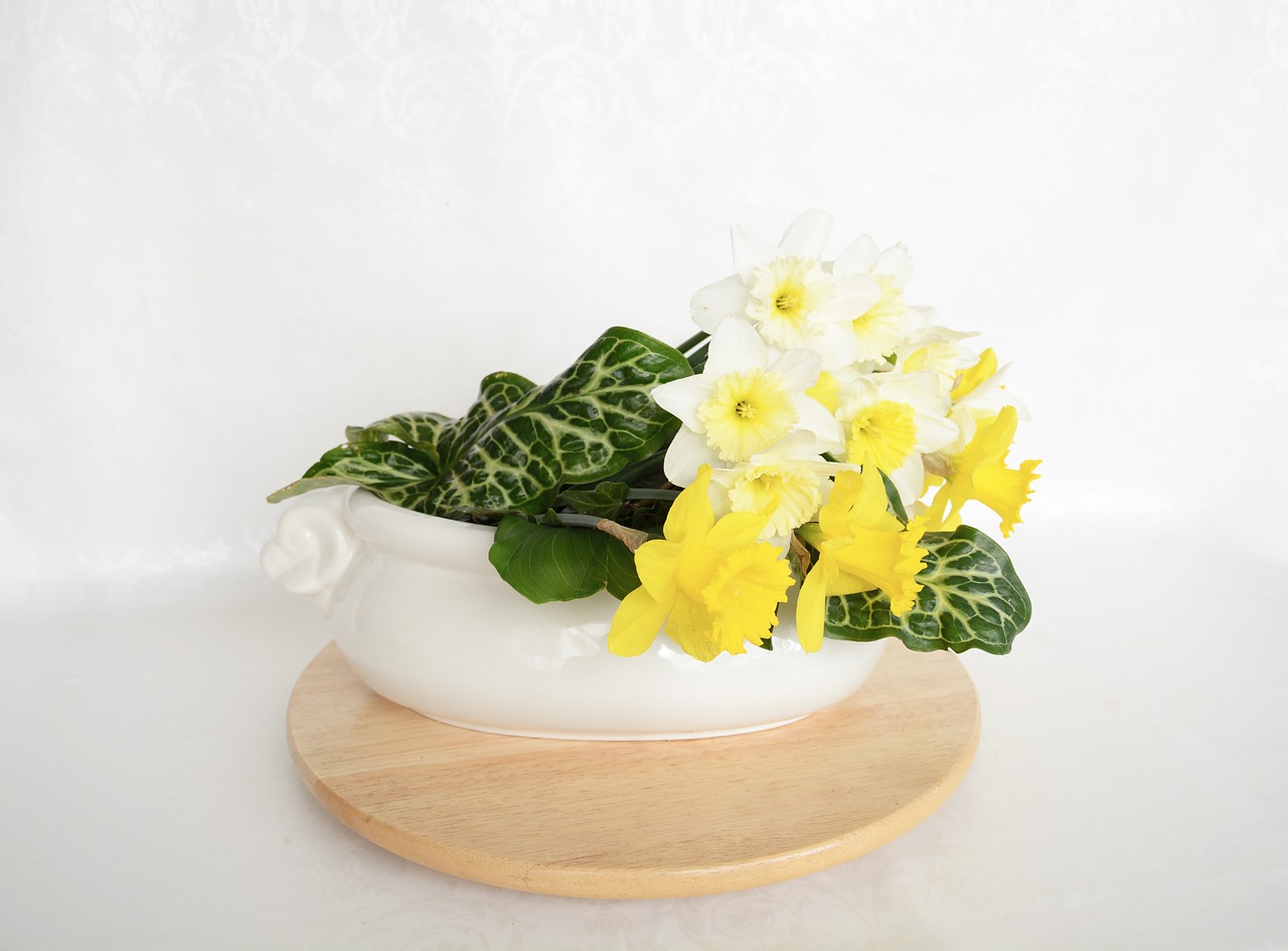 vase  home  handmade free photo