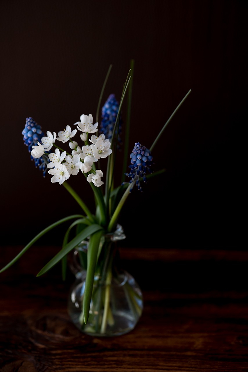 vase  flowers  white free photo