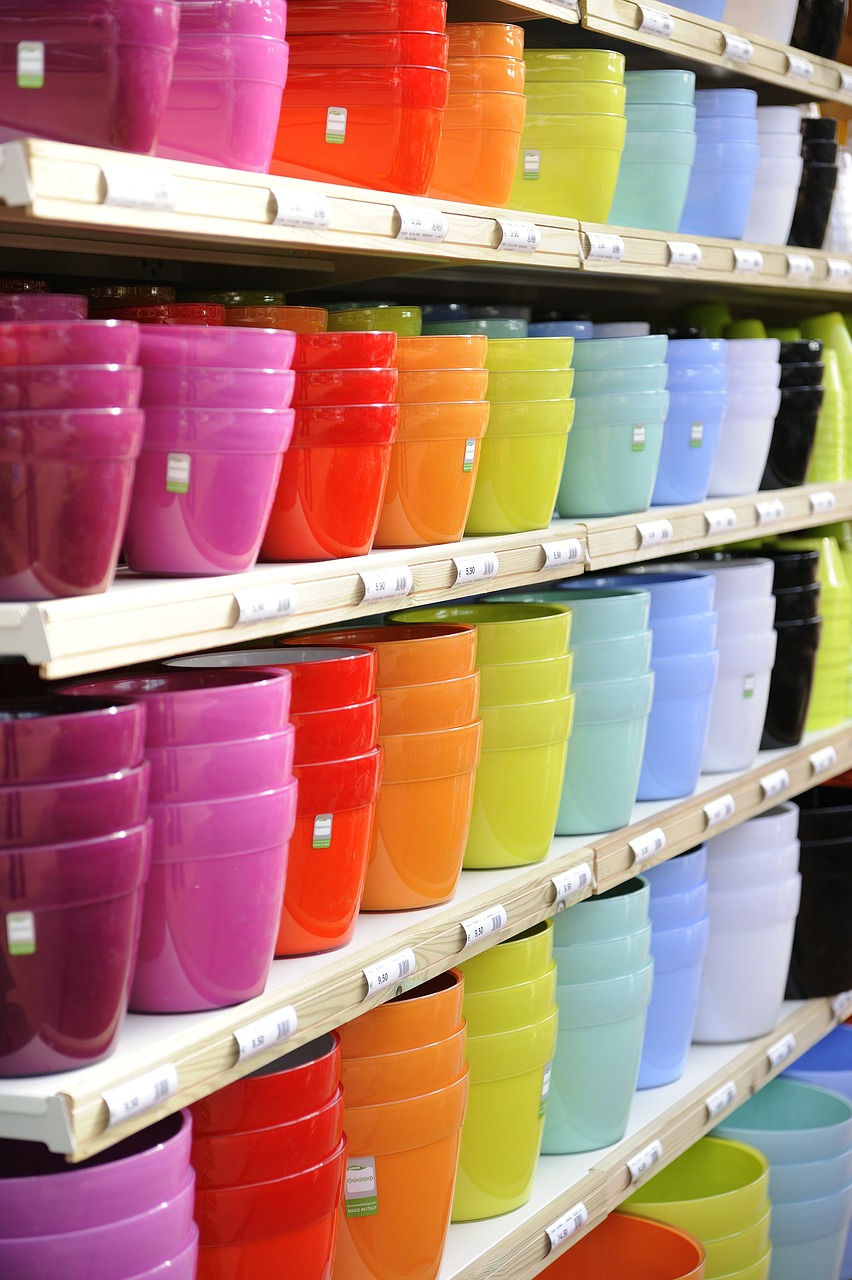 vase vases colors free photo