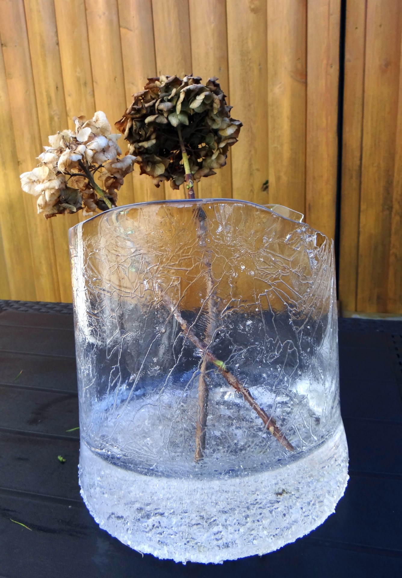 ice vase vessel free photo
