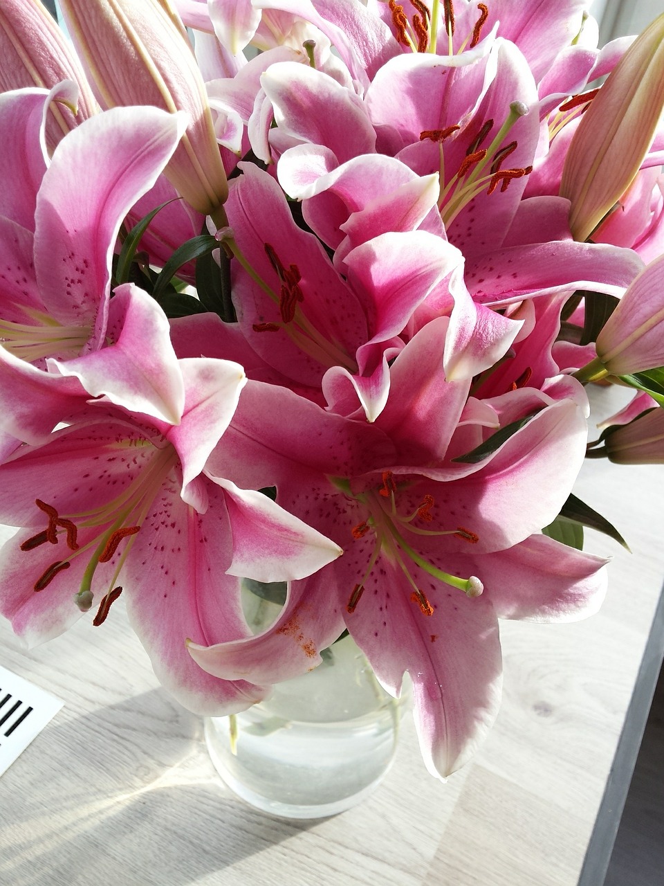 vase of flowers lilies vase free photo