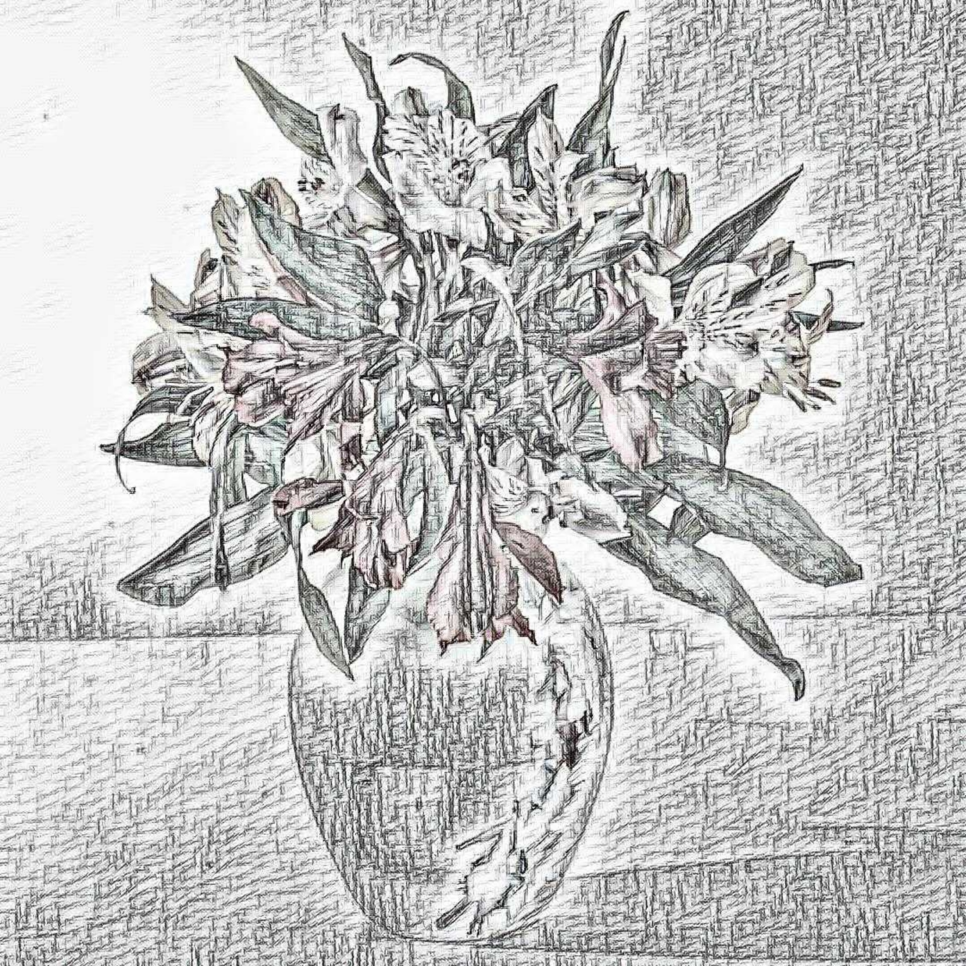 vase flowers sketch free photo