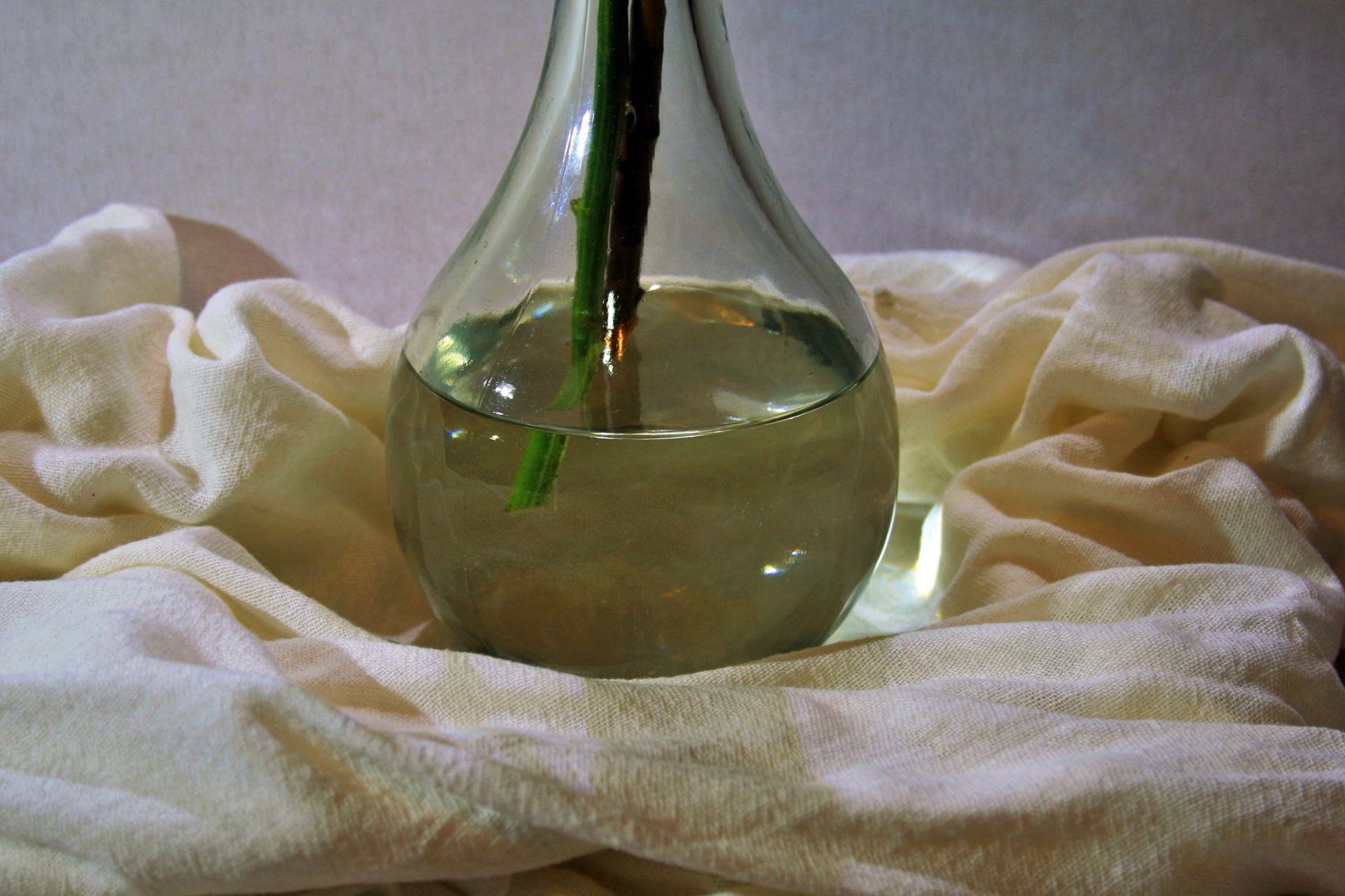bottle vase glass free photo