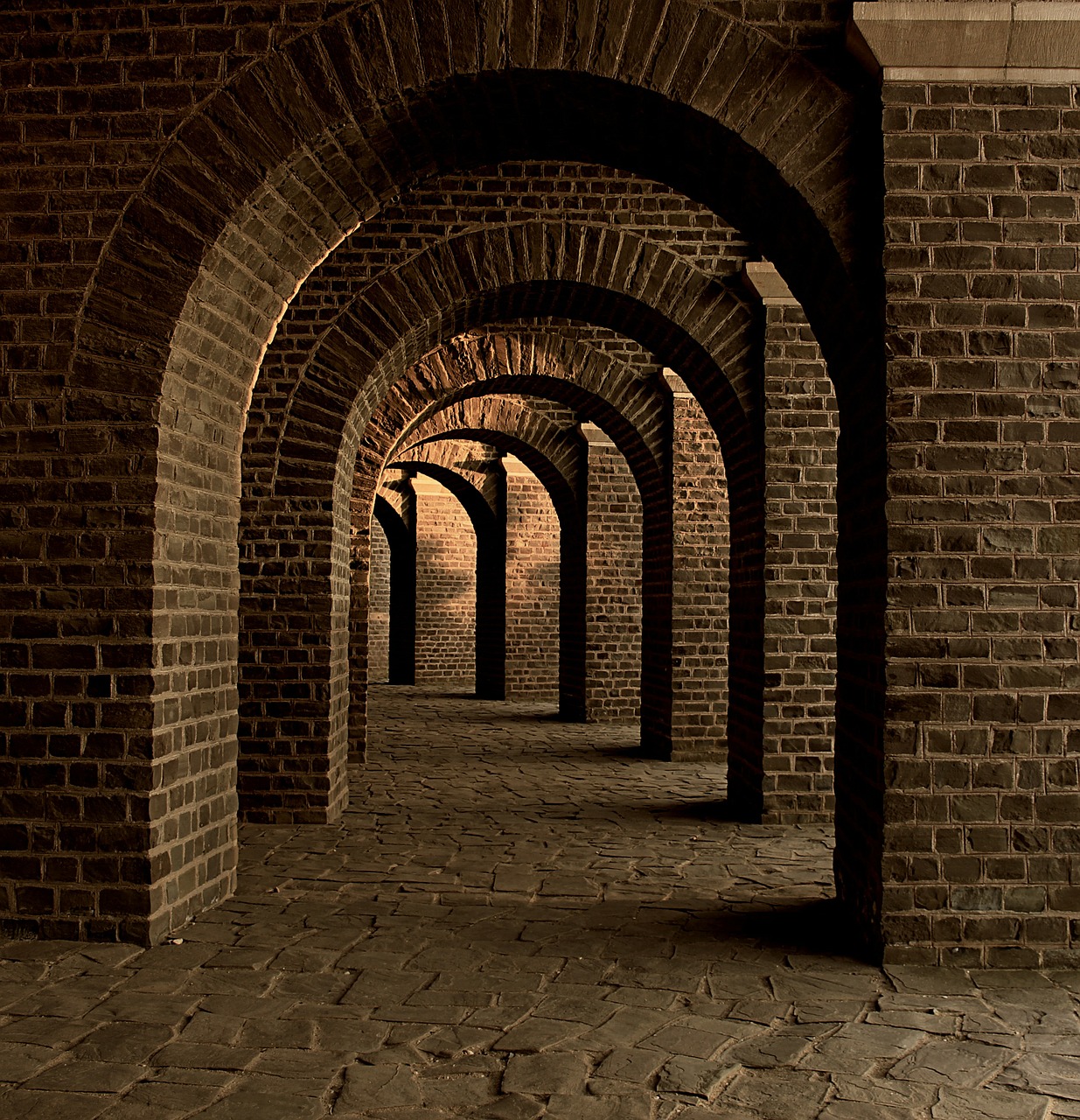 vaulted cellar tunnel arches free photo