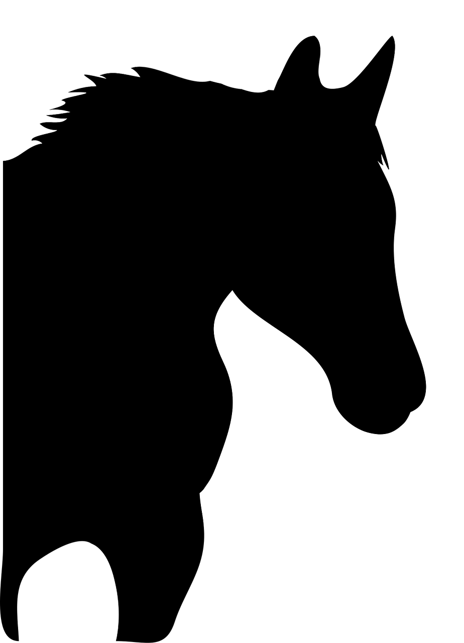 vector horse silhouette free photo