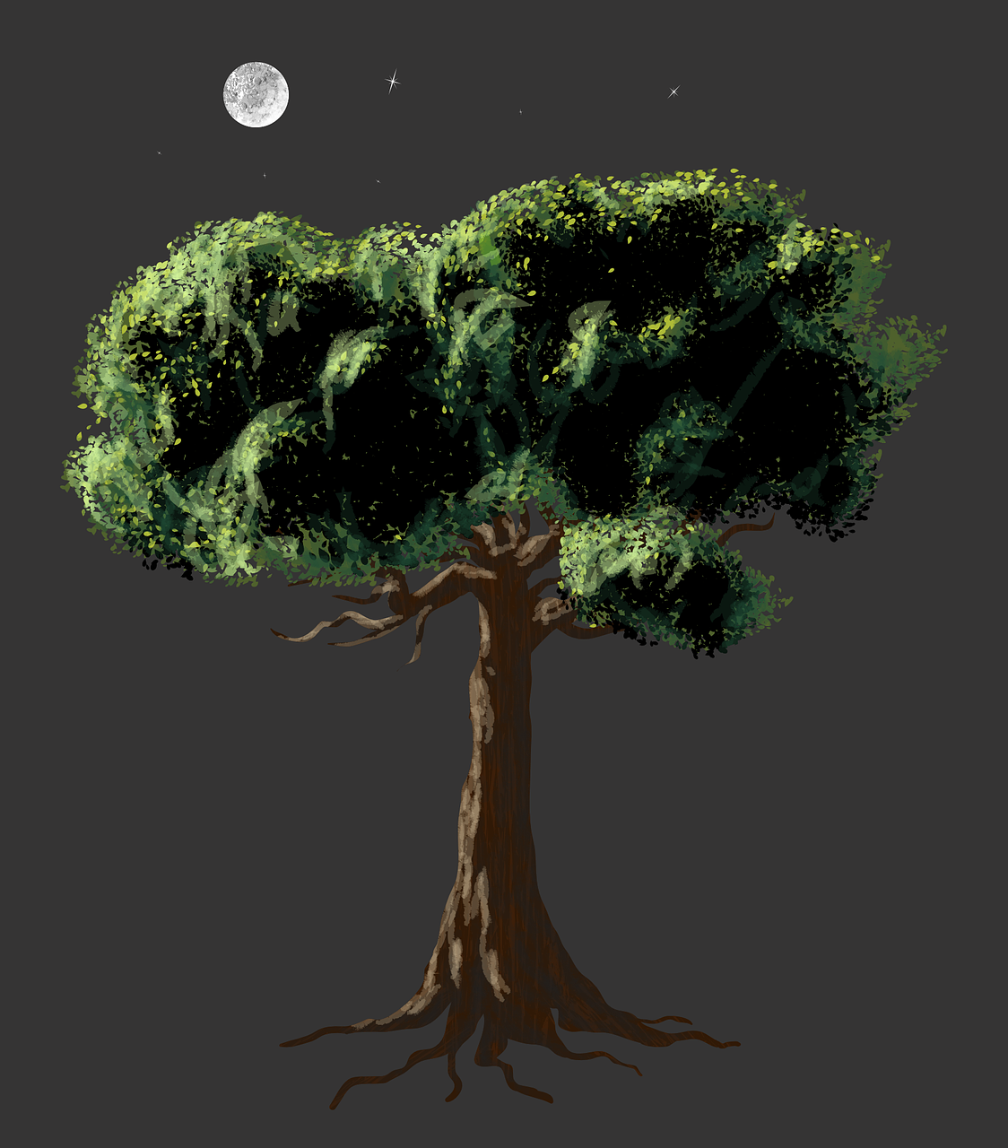 vector art realistic tree free photo