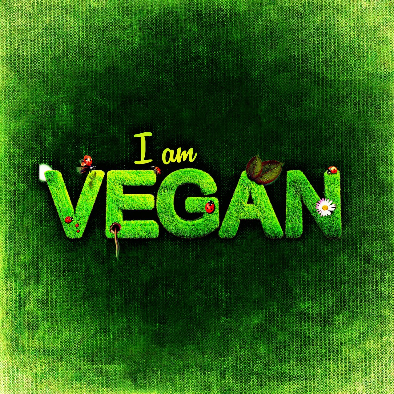 vegan healthy attitude nutrition free photo