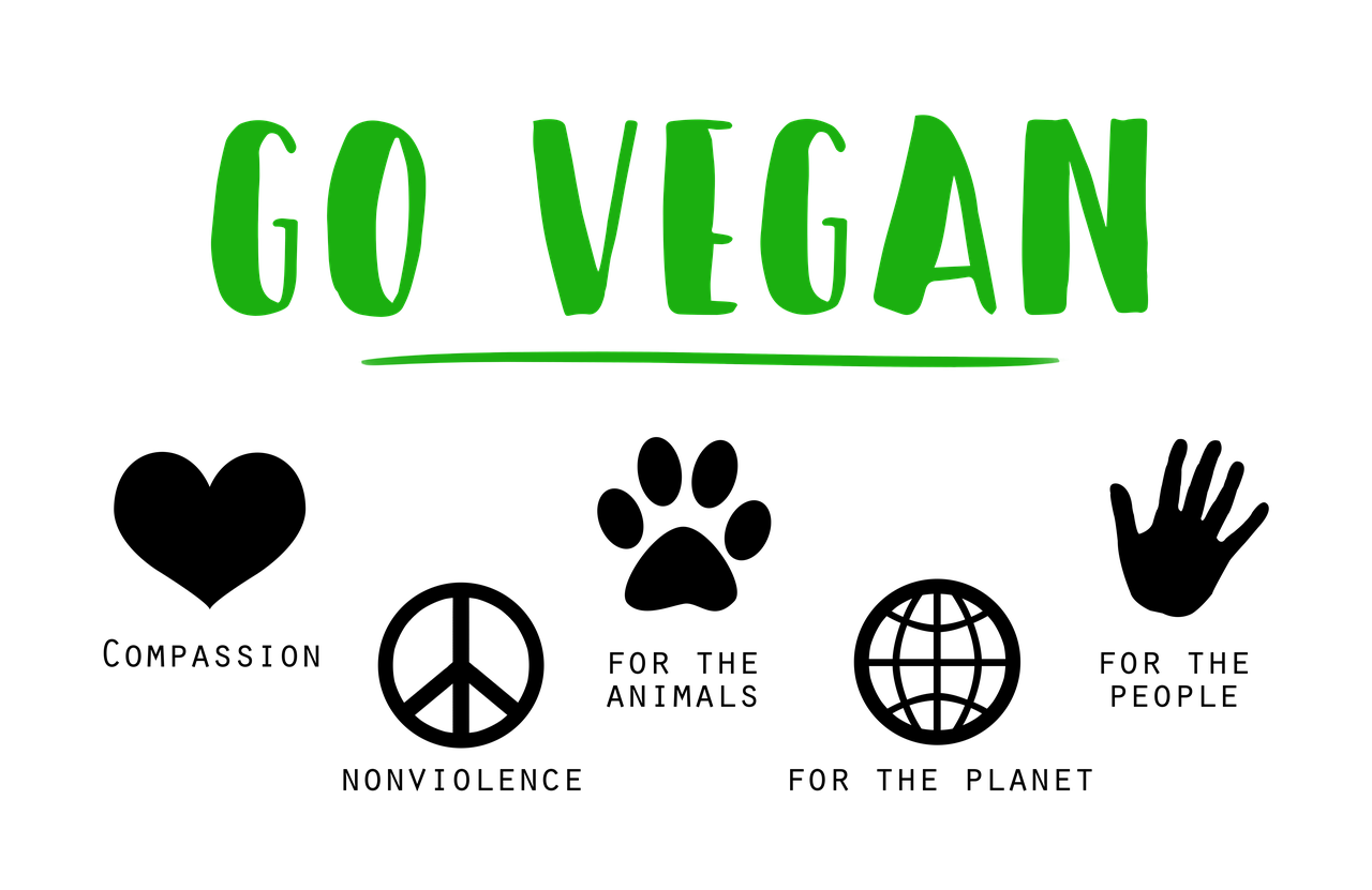 vegan go vegan compassion free photo