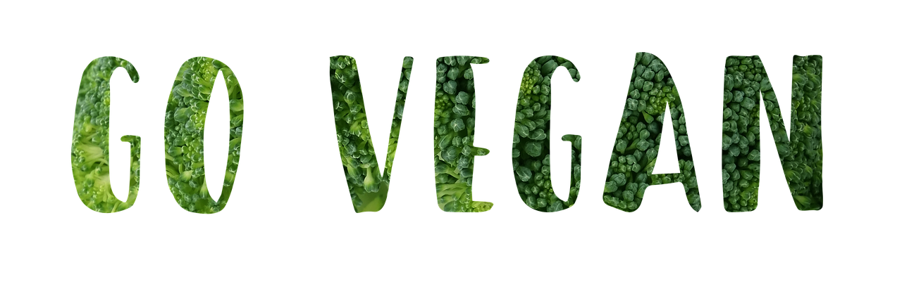 vegan slogan motivational free photo