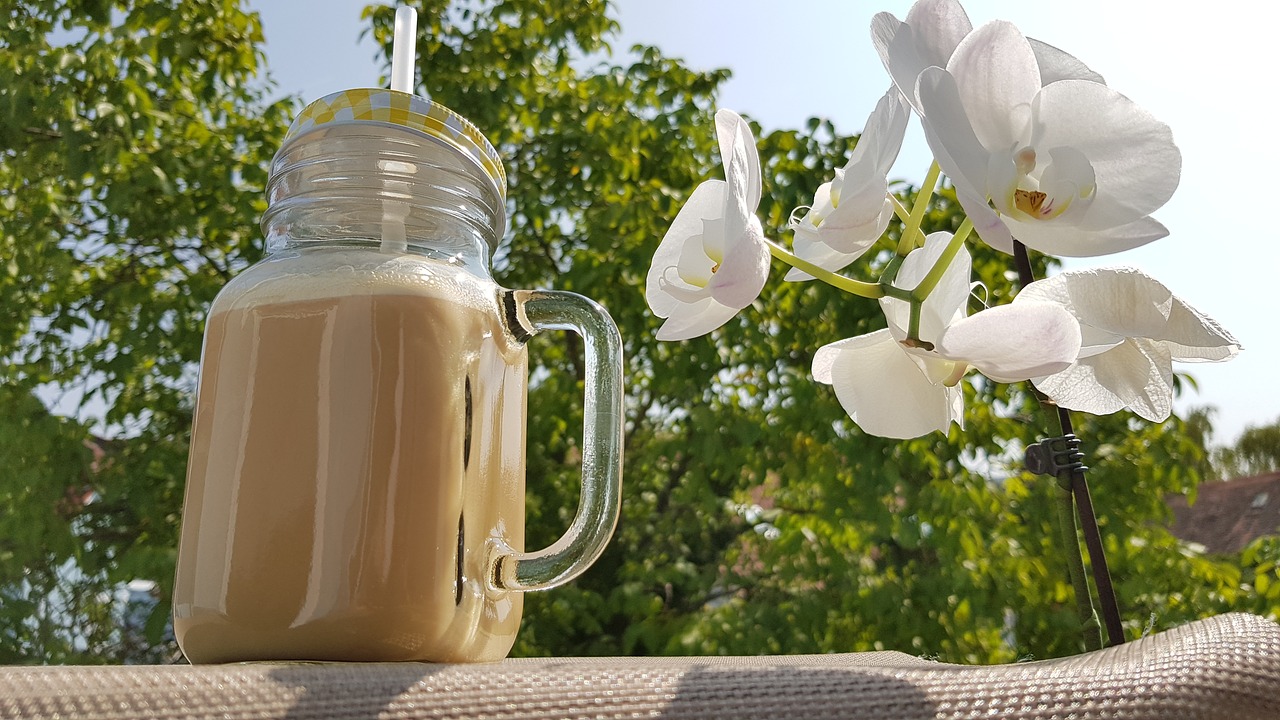 vegan  coconut milk  almond milk free photo