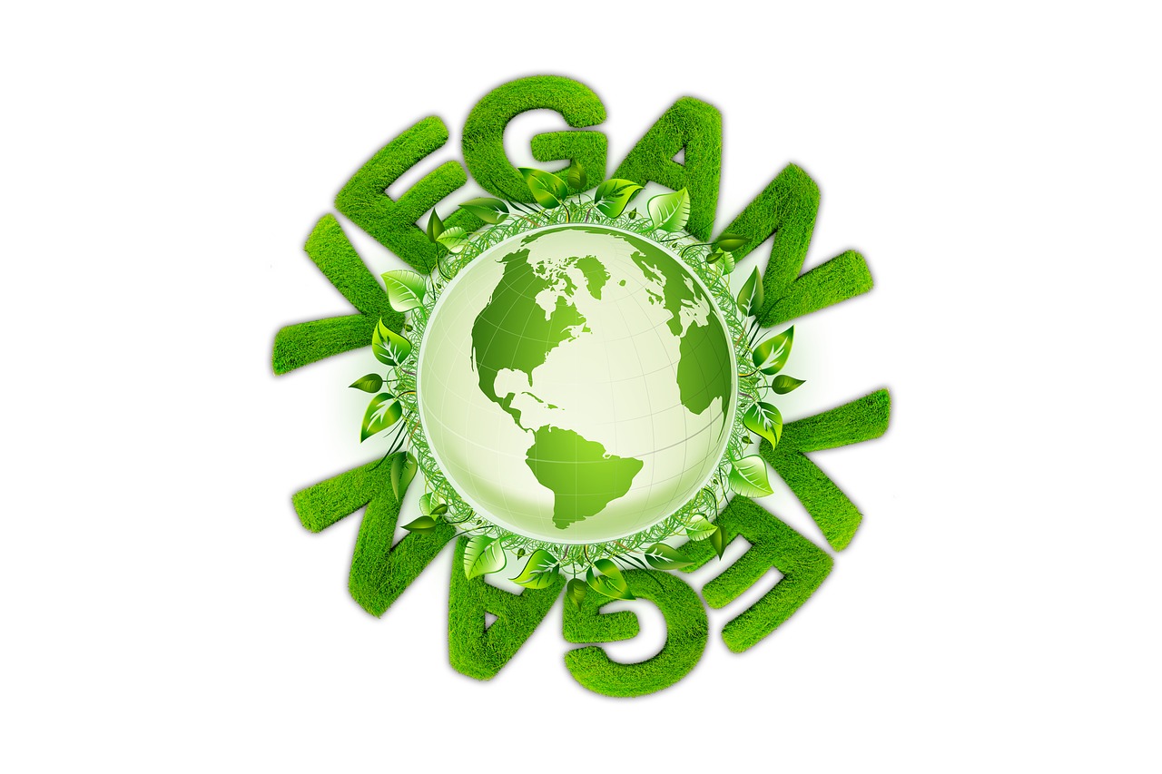 vegan  globe  leaves free photo