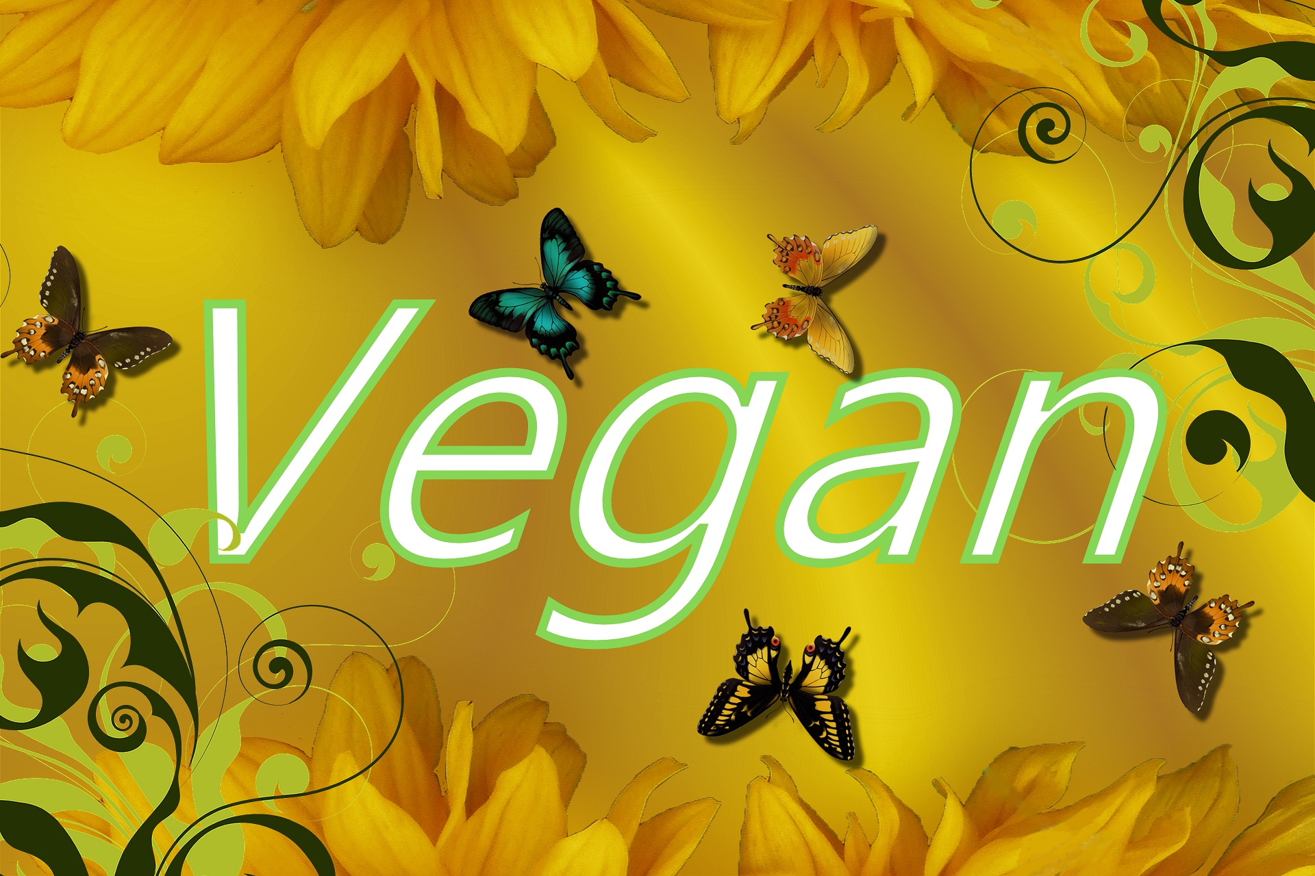 vegan background image free photo