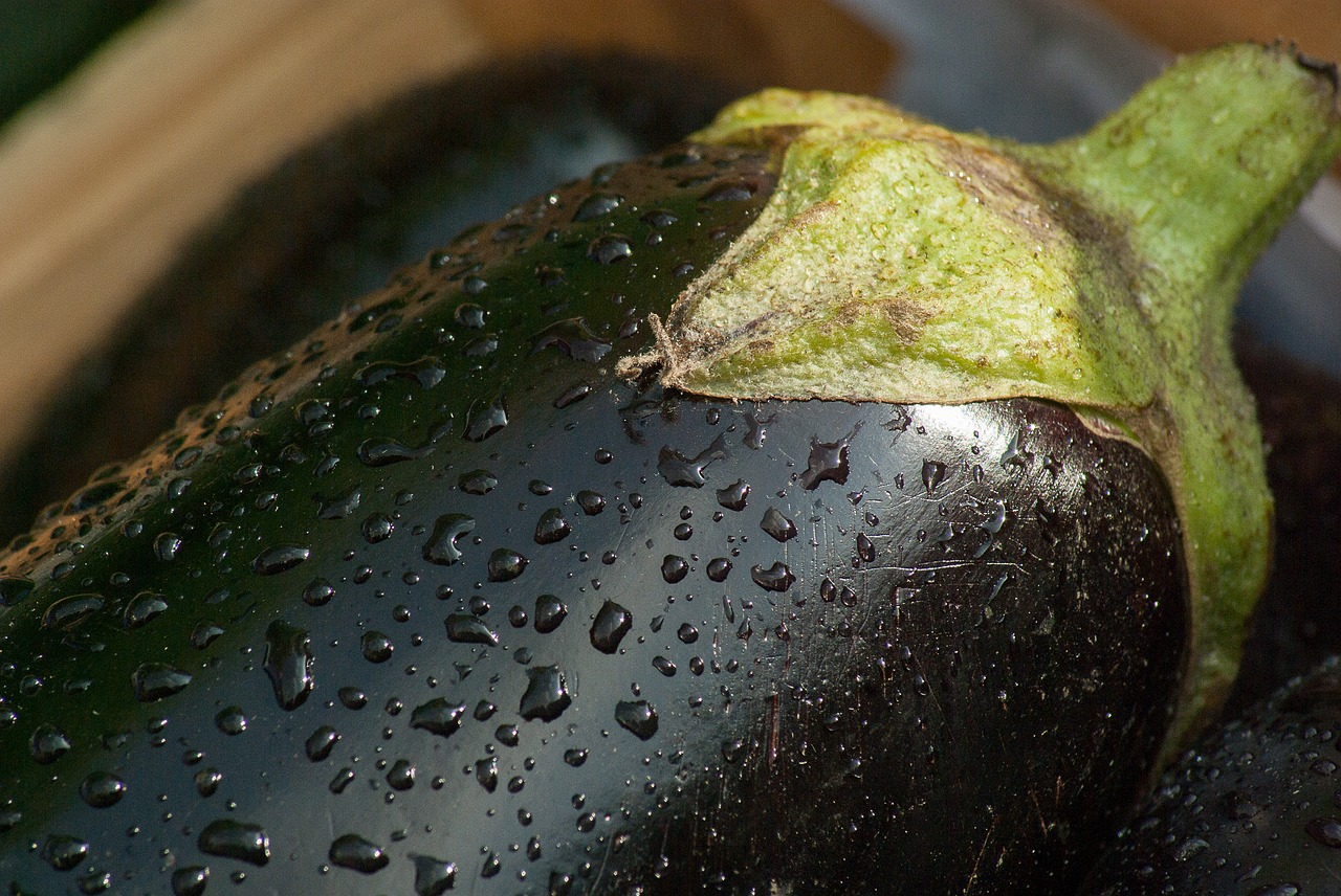 vegetable eggplant market free photo