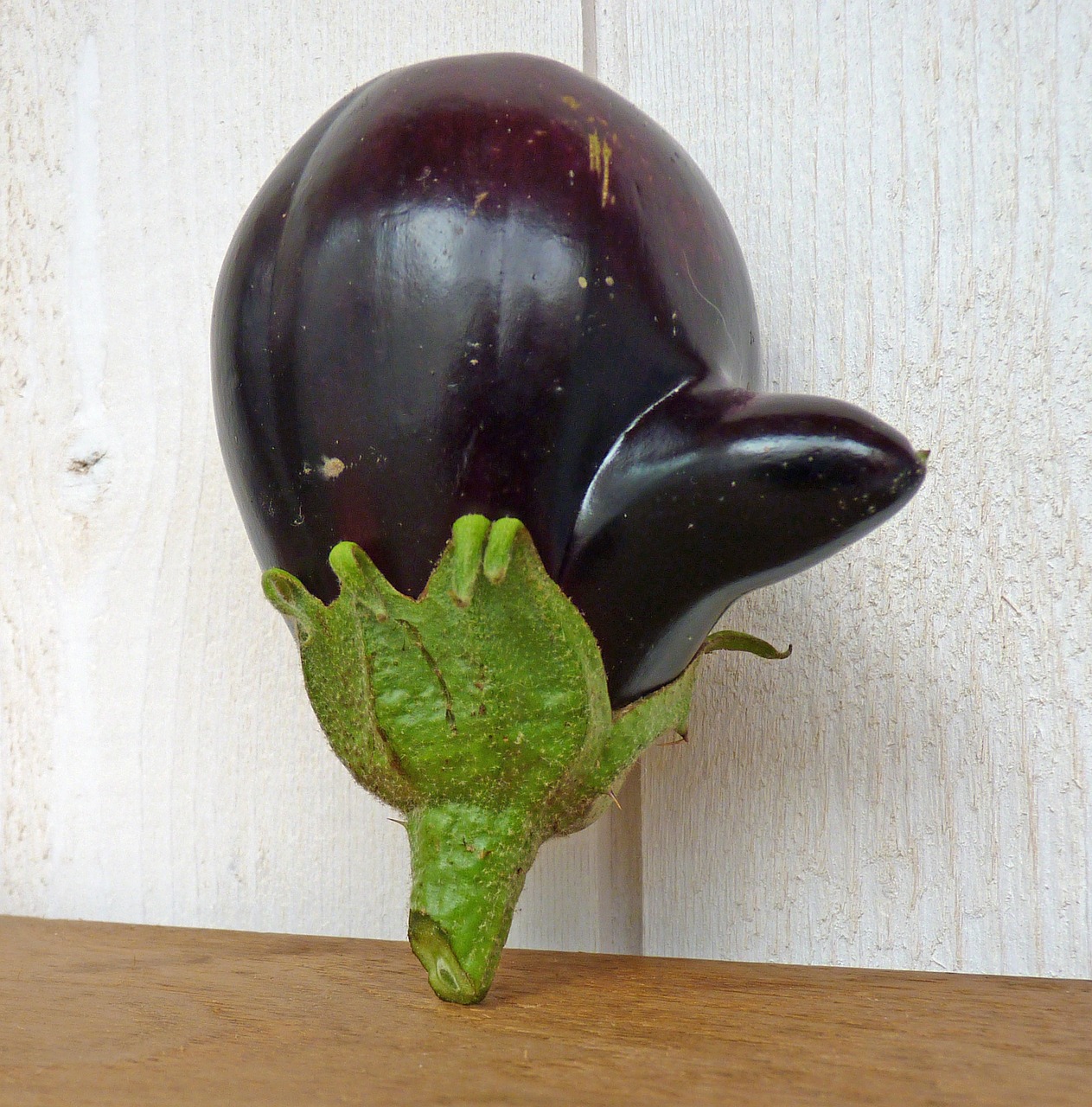 vegetable eggplant vegetable garden free photo
