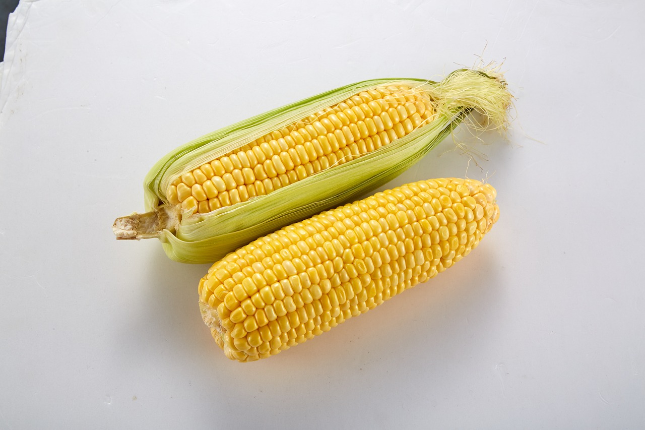 vegetable corn with skin corn free photo