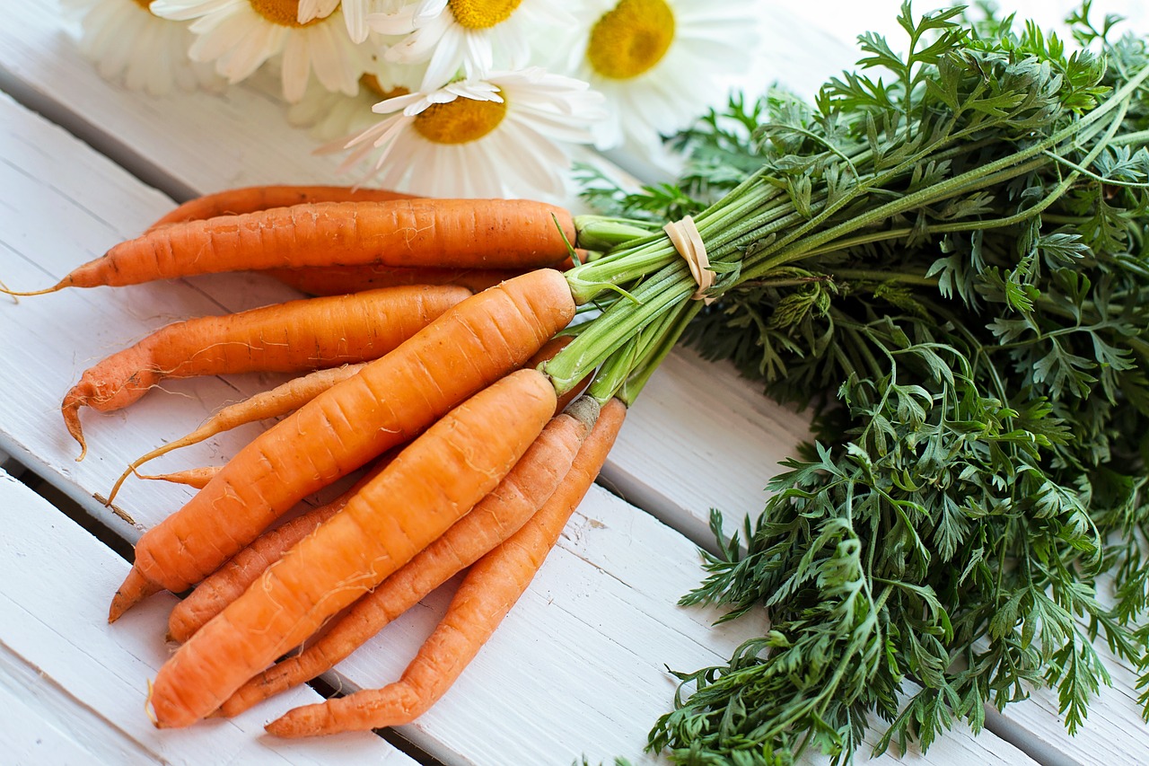 vegetable carrots food free photo