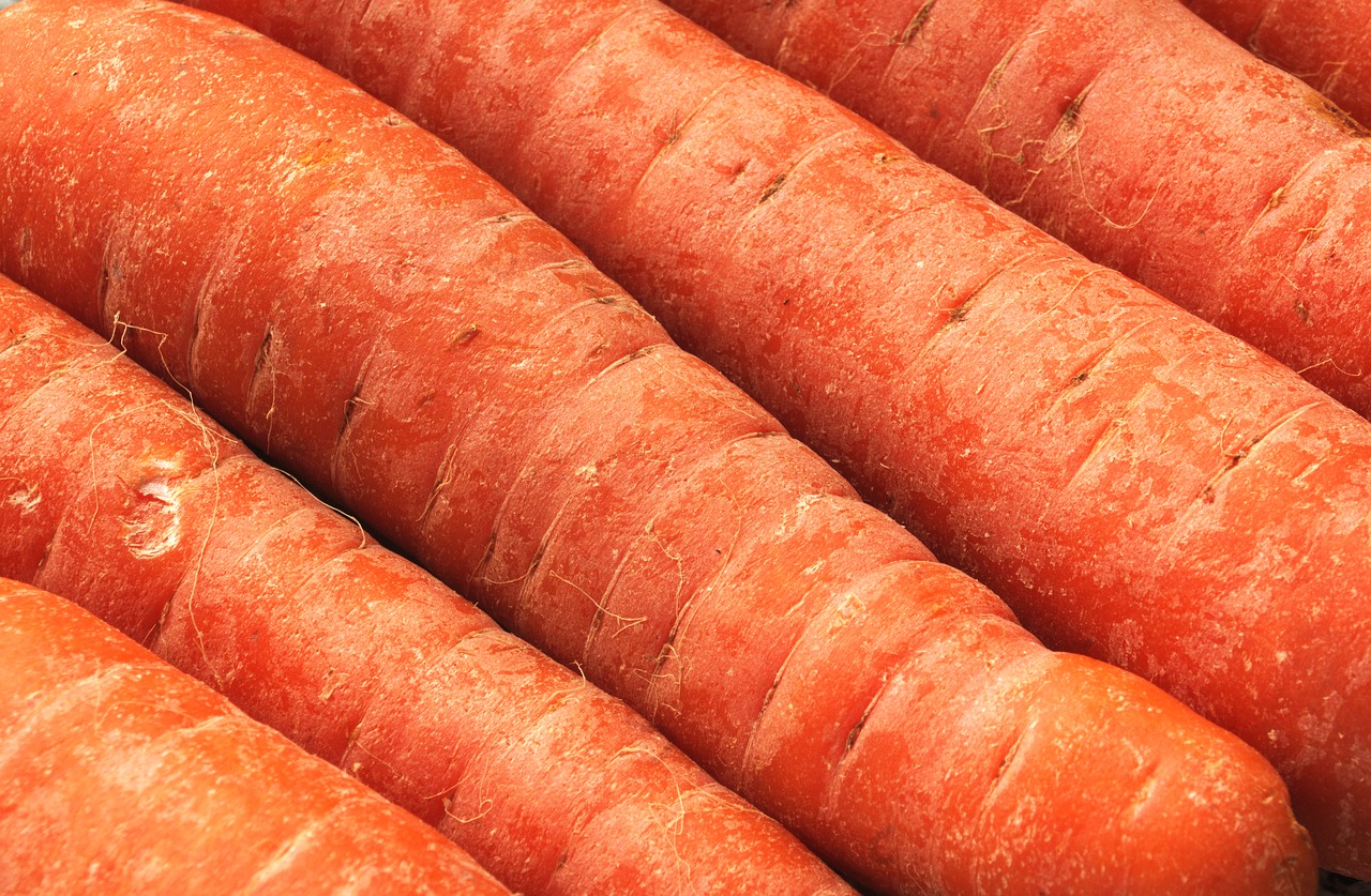 vegetable carrot food free photo