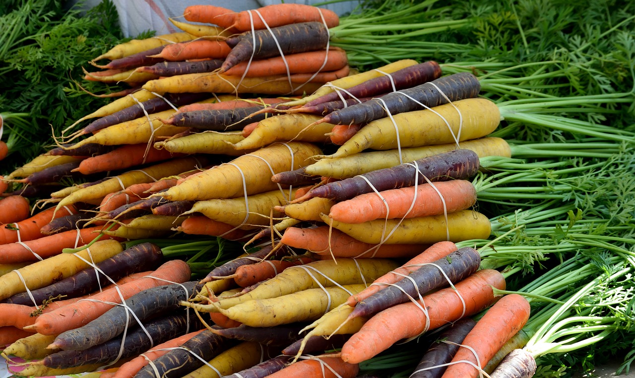 vegetable  food  carrot free photo