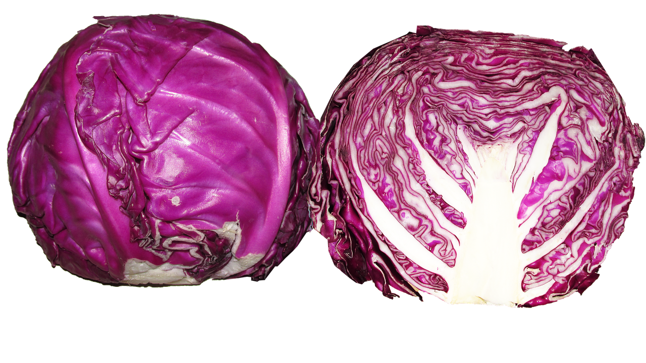 vegetable  red cabbage  food free photo