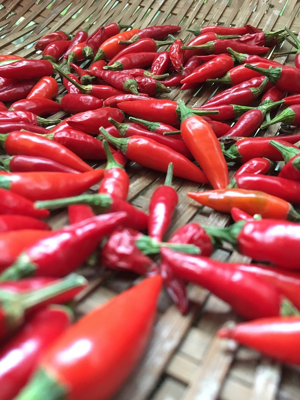 vegetable  red pepper  red free photo