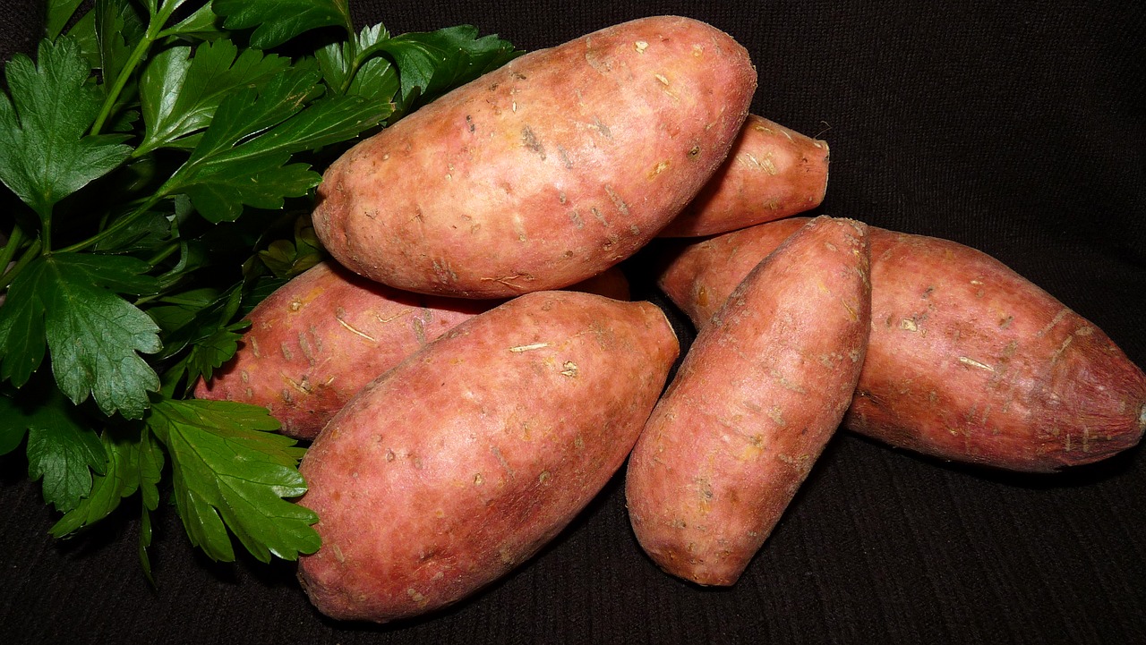 vegetable  red  sweet potato free photo