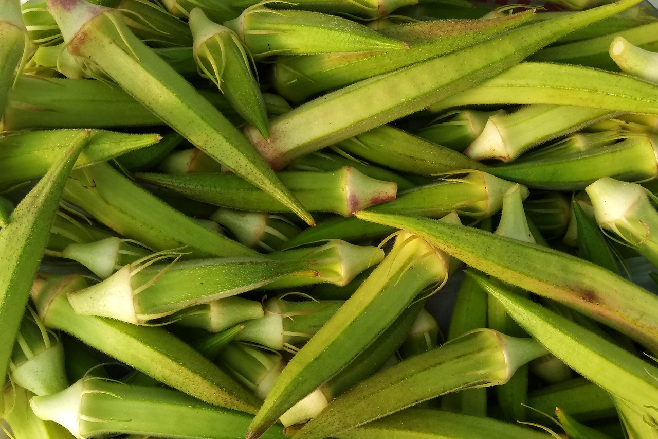 vegetable  okra  food free photo