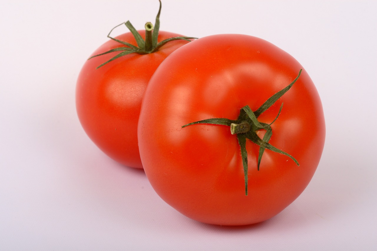 vegetable red tomato free photo