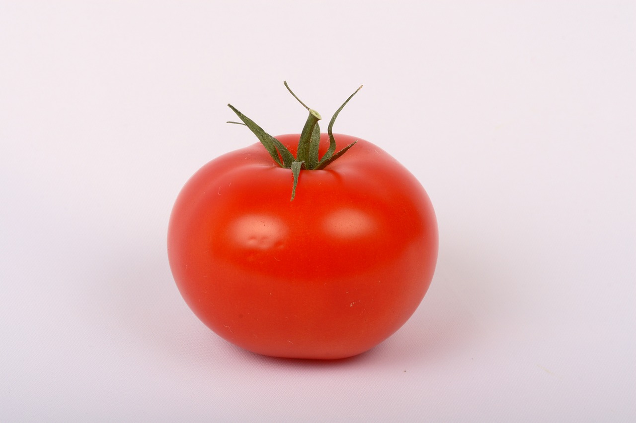 vegetable red tomato free photo