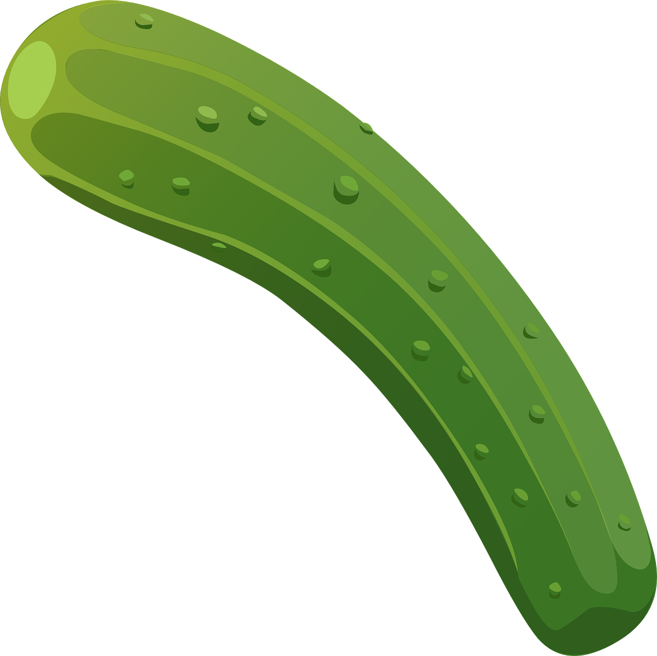 vegetable cucumber organic free photo