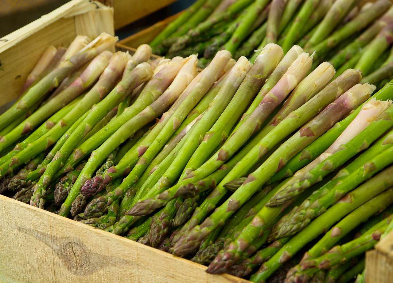 vegetable asparagus market free photo