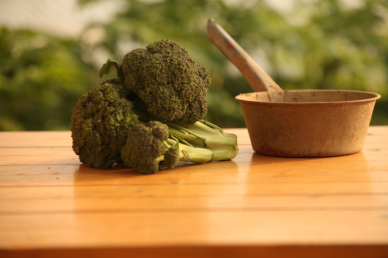 vegetable broccoli agriculture free photo