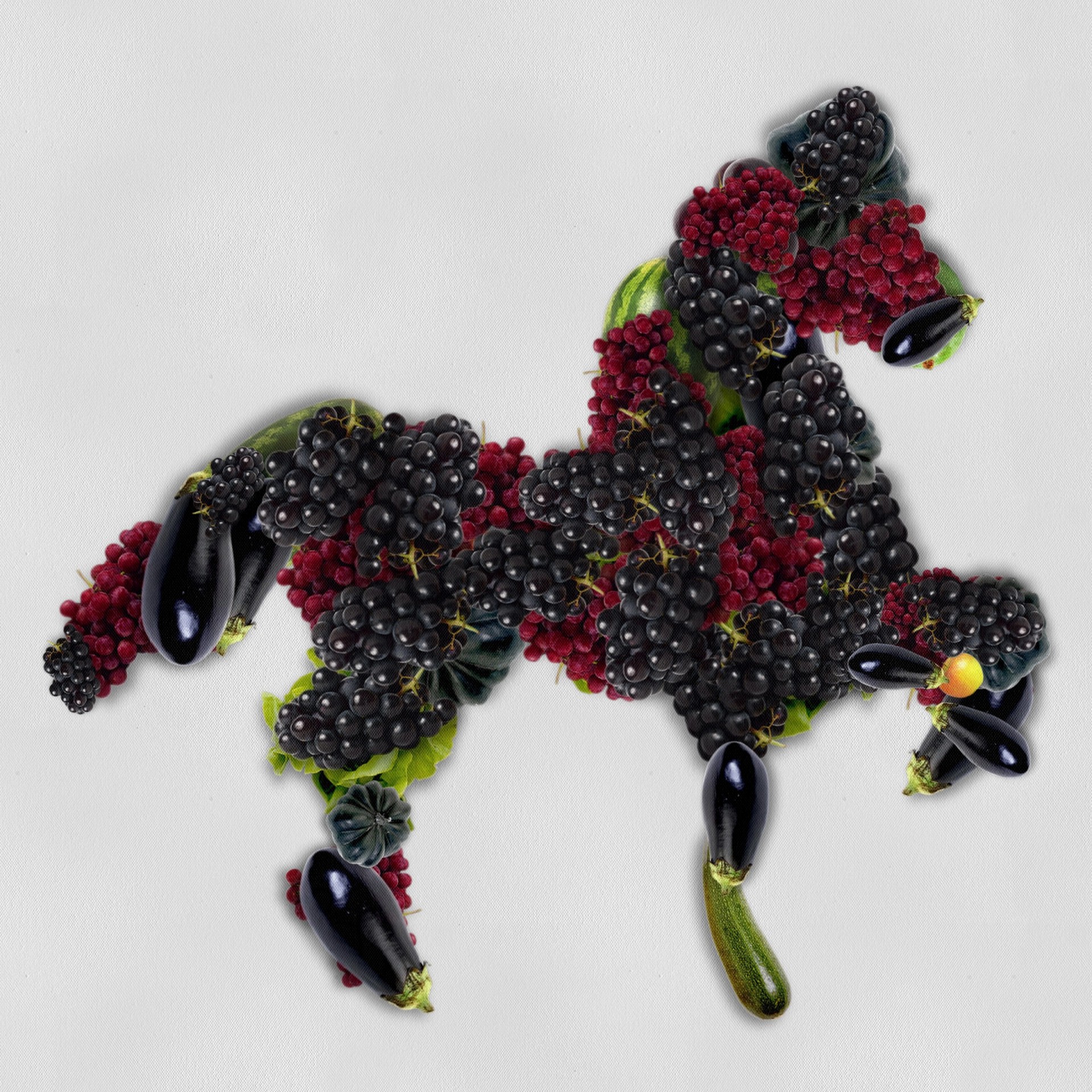 vegetable silhouette horse free photo
