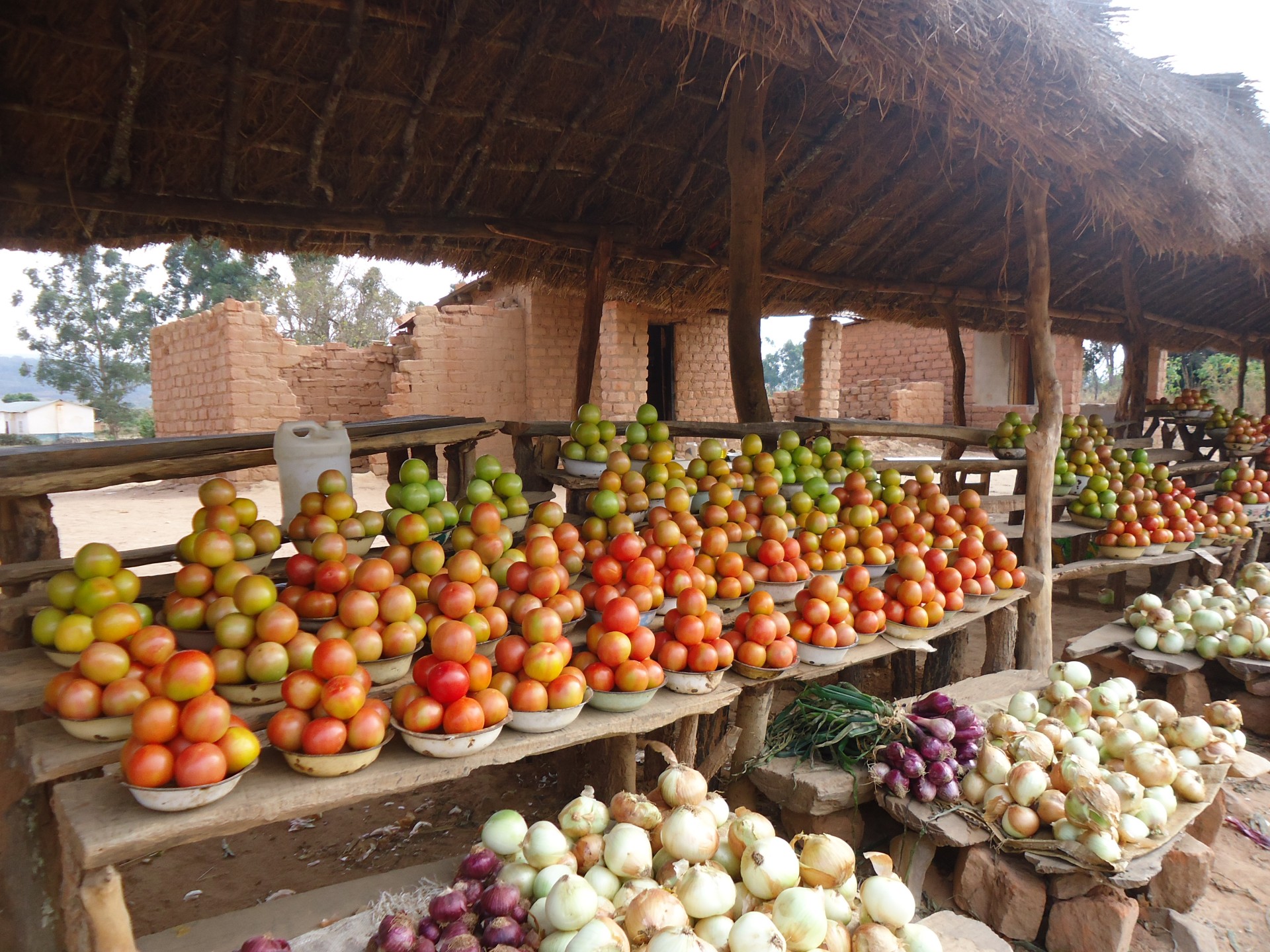 tomatoes vegetables market free photo