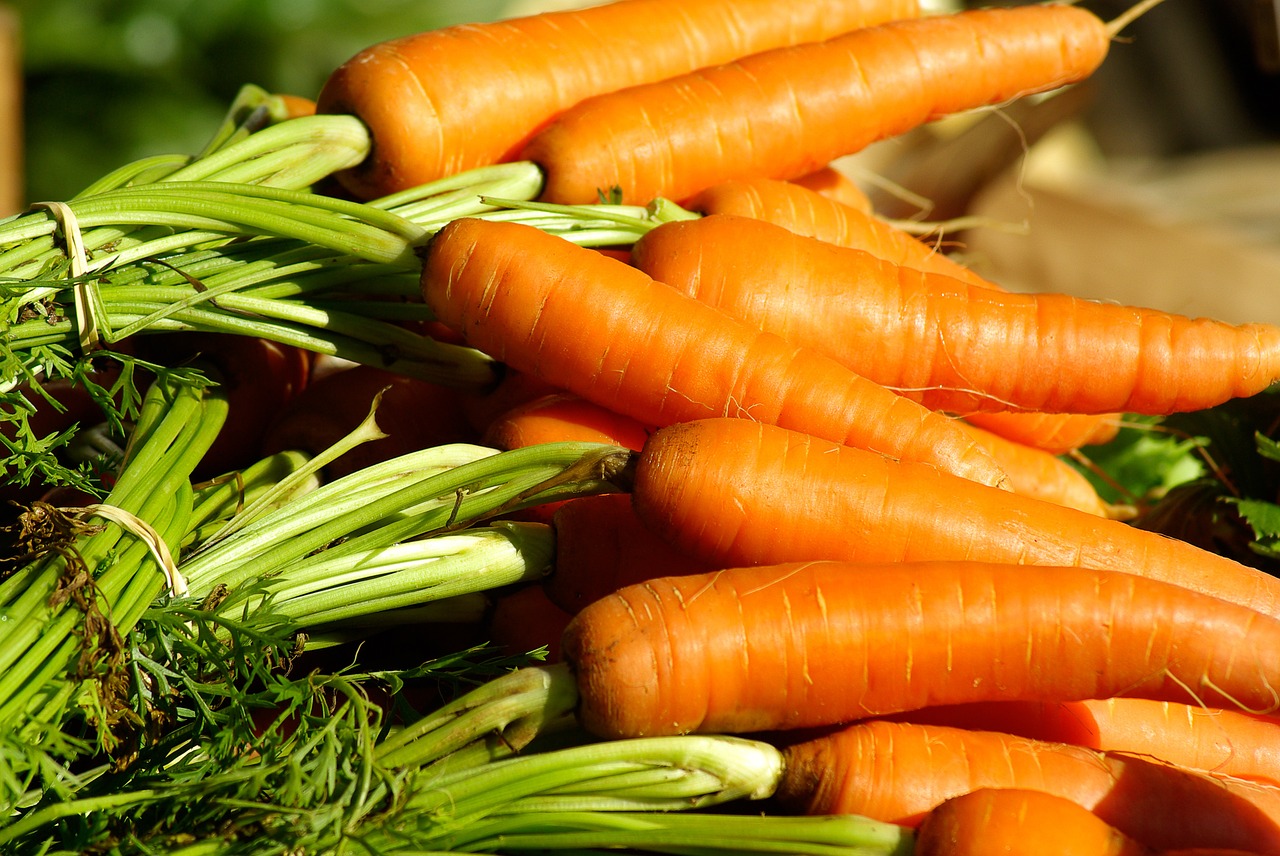 vegetables carrots vegetable garden free photo