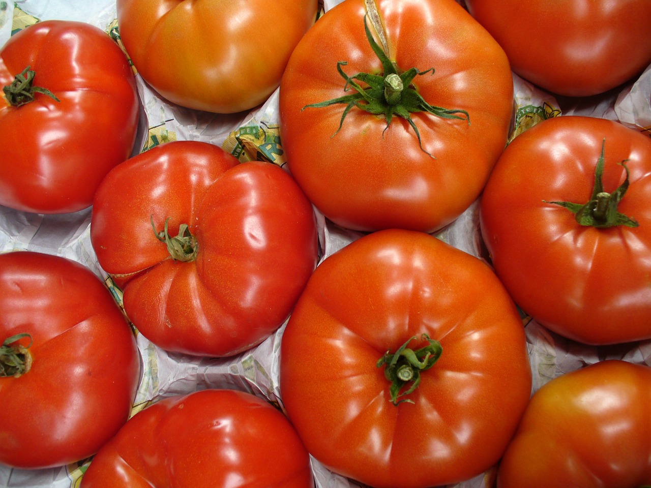 vegetables tomatoes street market free photo