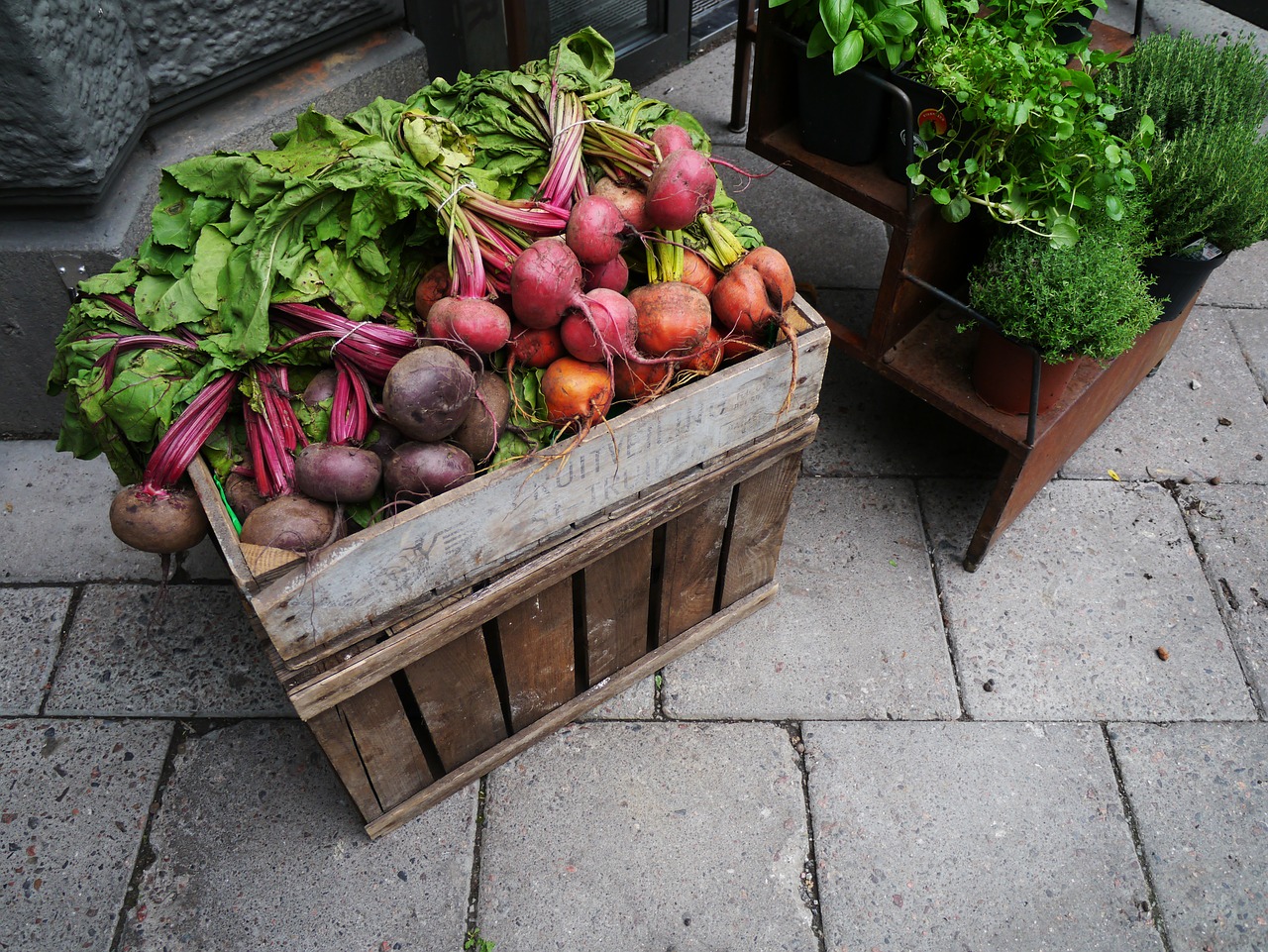 vegetables radishes food free photo