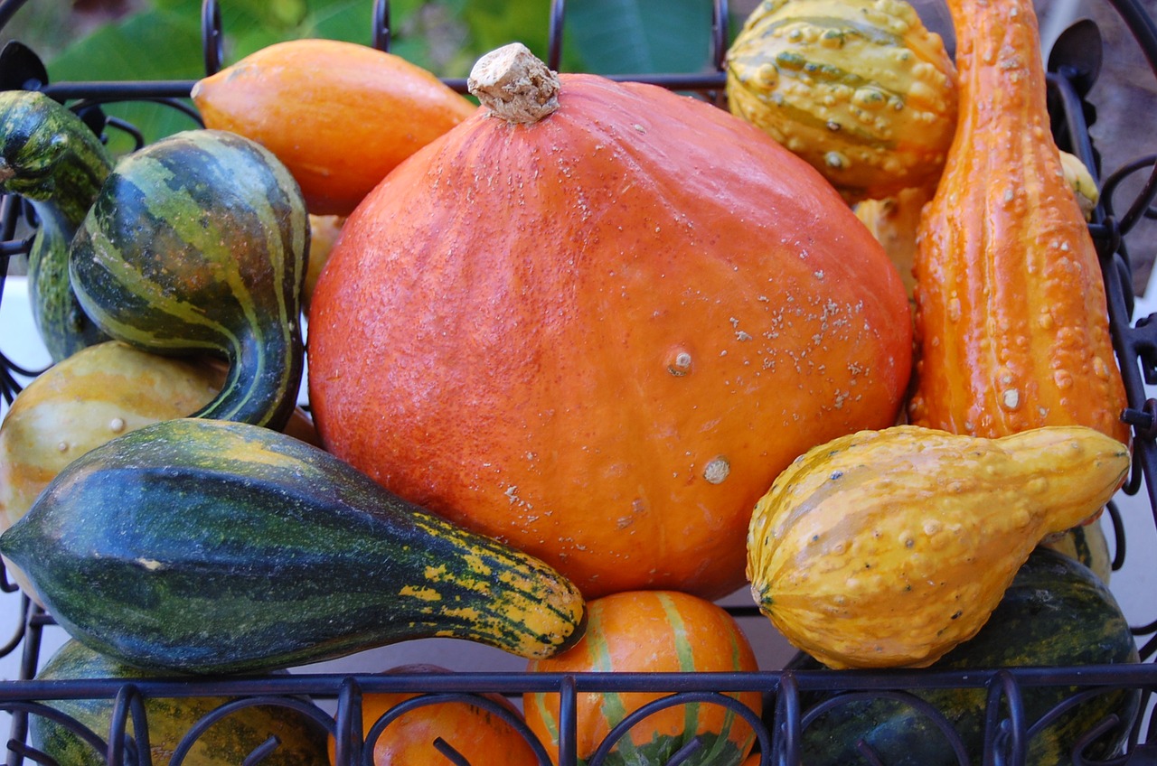 vegetables harvest fall free photo