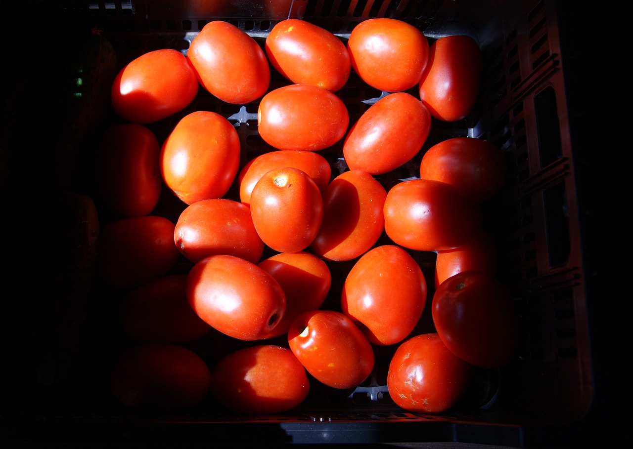 vegetables tomato light free photo