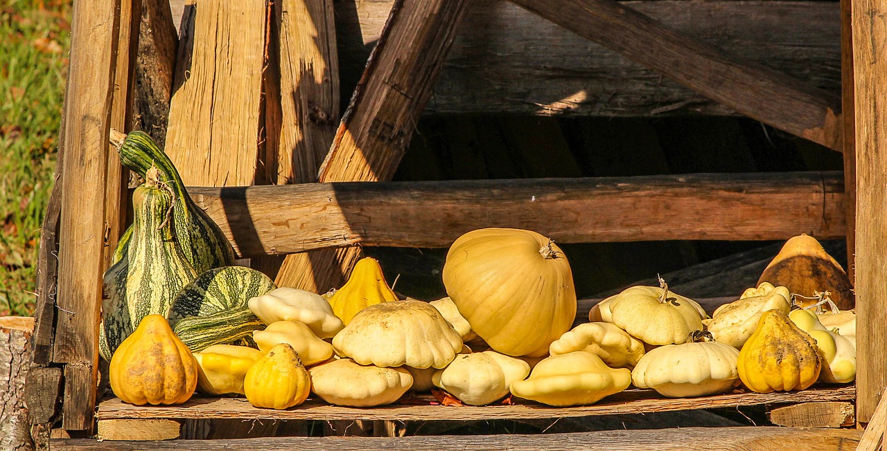 vegetables squash gourds free photo