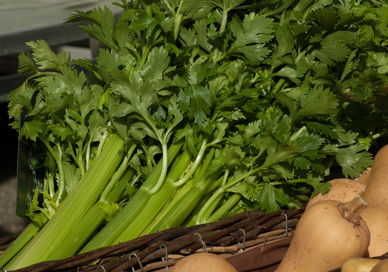 vegetables celery turnips free photo