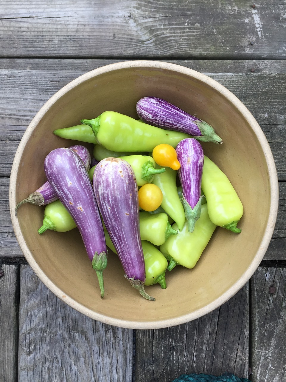 vegetables bowl eggplant free photo