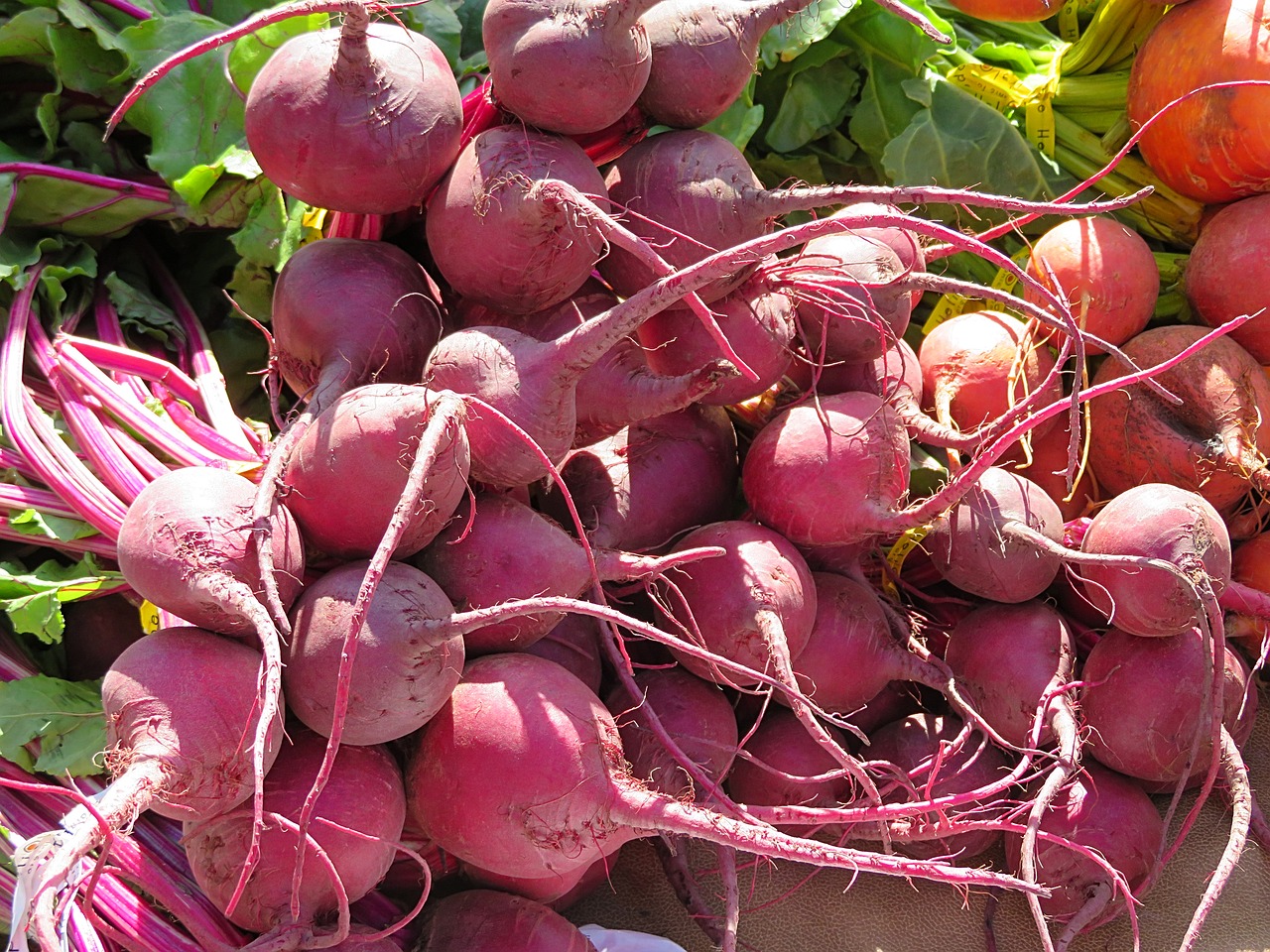 vegetables beets market free photo