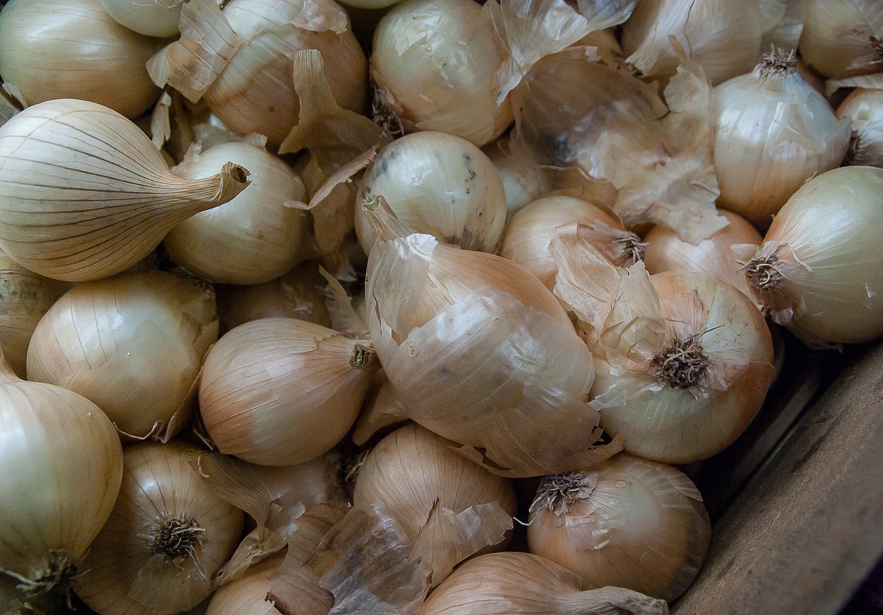 vegetables onions harvest free photo