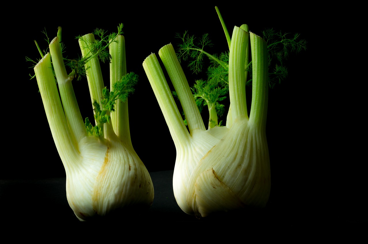 vegetables fennel forget free photo