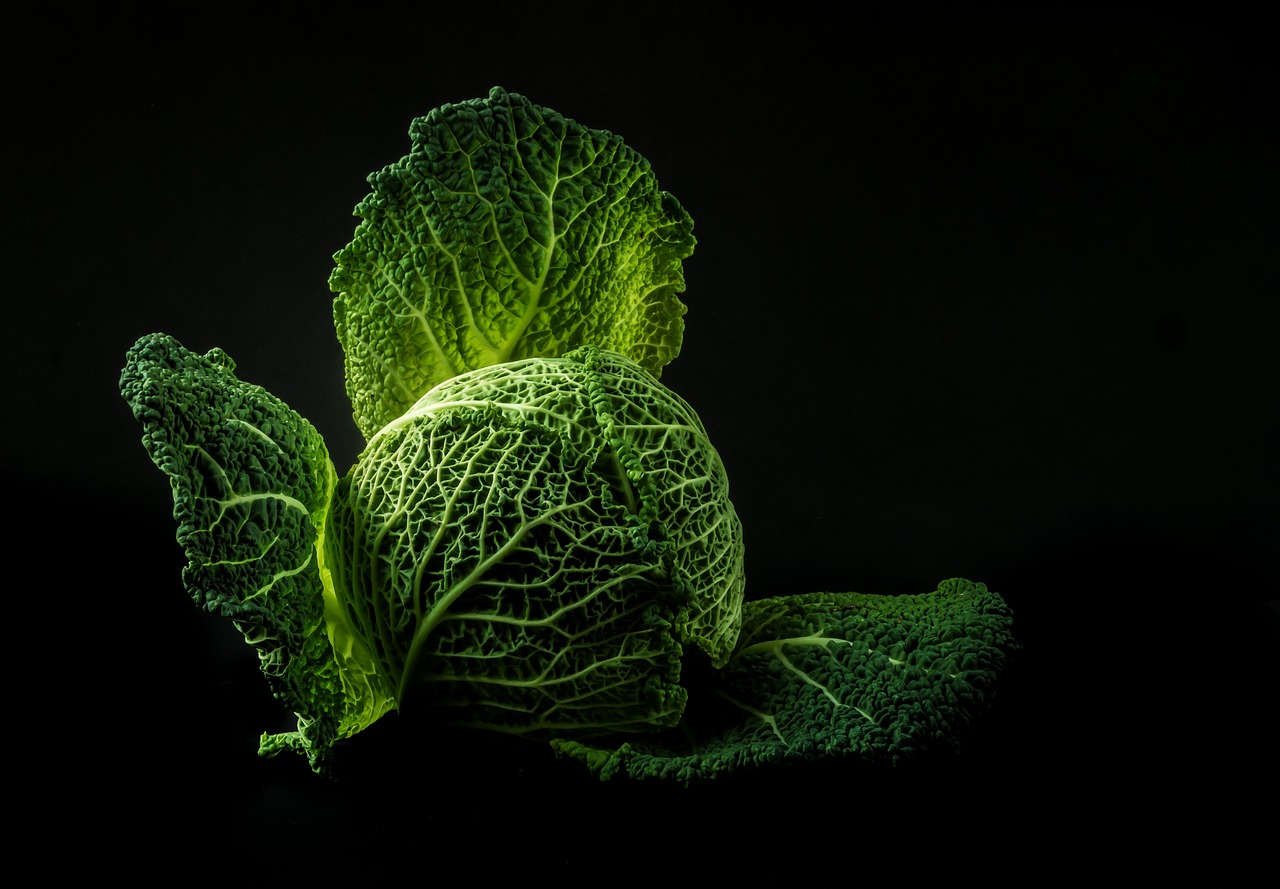 vegetables cabbage forget free photo