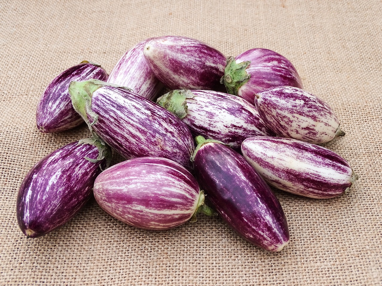 vegetables eggplant mediterranean free photo